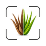 Plant Scanner AI:  Identify & Diagnose logo